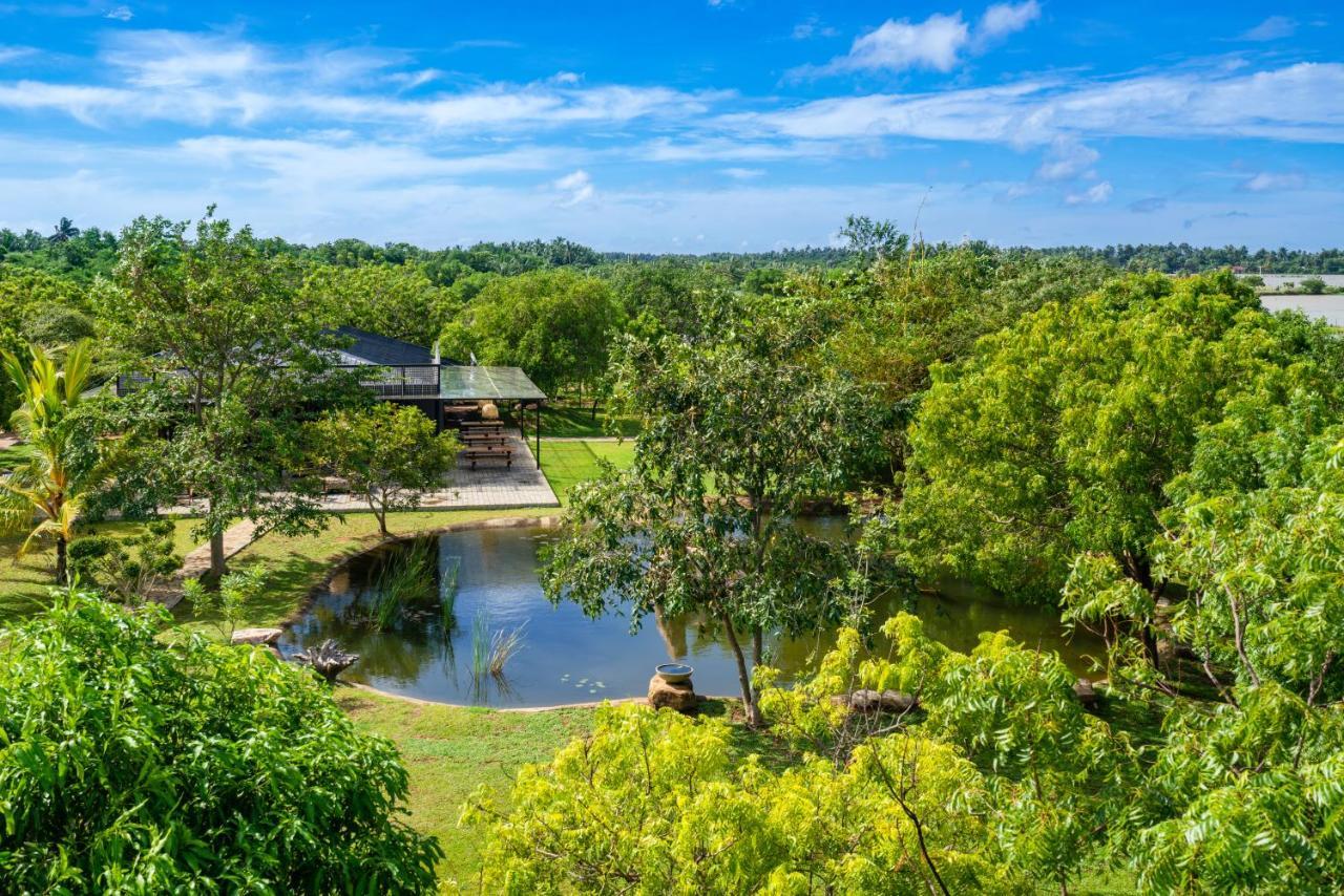 Wild Culture Yala Hotell Eksteriør bilde